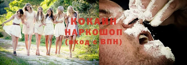 герыч Пересвет