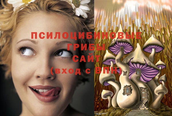 таблы Покачи
