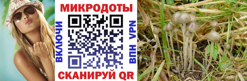 мориарти какой сайт  магазин    Покачи  Псилоцибиновые грибы мухоморы 